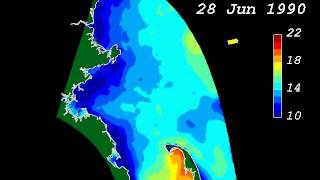Upwelling in Massachusetts Bay during June-July 1990 (simulation)