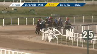 Vidéo de la course PMU PREMIO BOTAFOGO