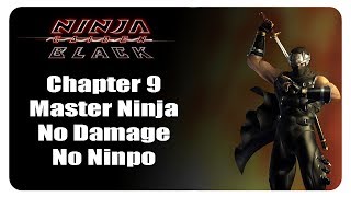 Ninja Gaiden Black | Chapter 9 | Master Ninja | No Damage/No Ninpo