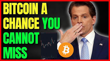 "Bitcoin Haters Gonna Lose" Scaramucci Crypto Interview