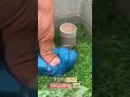 The plastic bottle trick that drains water like magicFast, simple, and genius.#USA #WaterHack#DIYFix