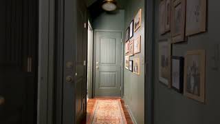 I painted the ceiling green (finally) Net Worth