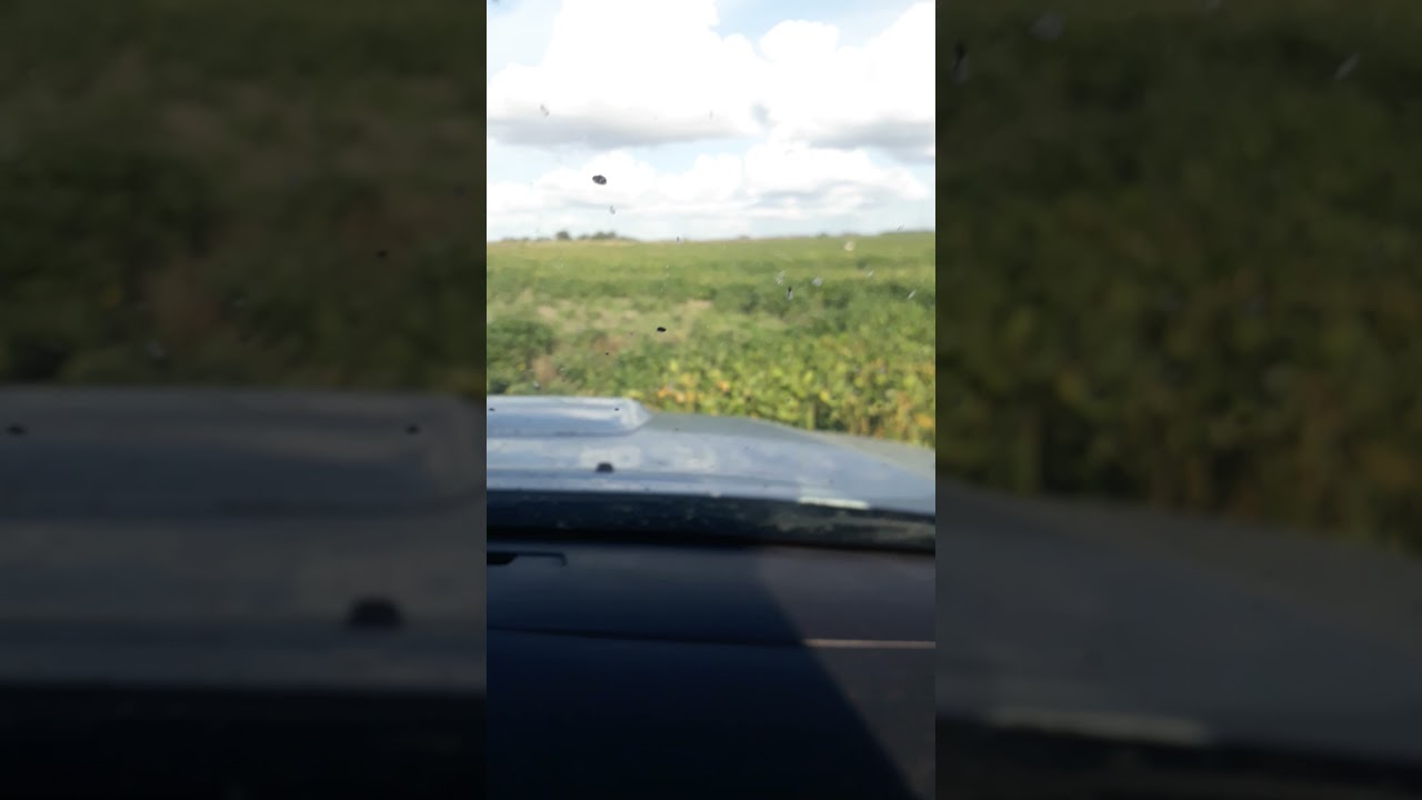 caza de avestruz en San Miguel del Monte