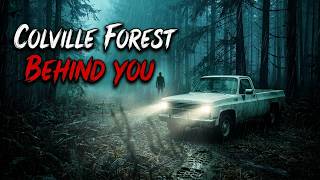 I Found My Own Footprints in the Woods… And I Wasn't Alone