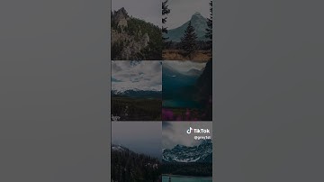 فارس عباد - سورة النحل