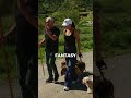 Stop Treating Your Dog Like a Baby | Walking with Cesar