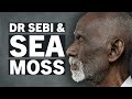 Sea Moss & Dr Sebi - What's That About? - Ep 1