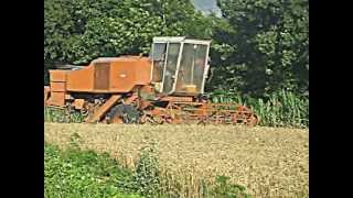 MOISSON 2013