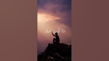 ايات من القرآن الكريم #آيات #القرآن_الكريم #قرآن #ياسر_الدوسري