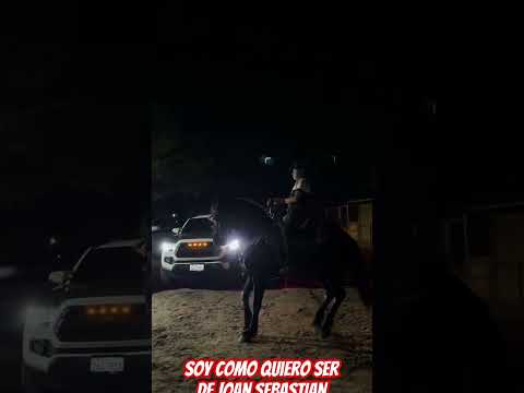 Soy como quiero