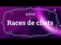 Quiz  races de chats