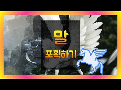   검은사막M 말포획 말 잡는법 1세대 2세대 구분법