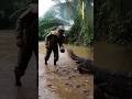Is This Jungle Suit Actually Creature-Proof