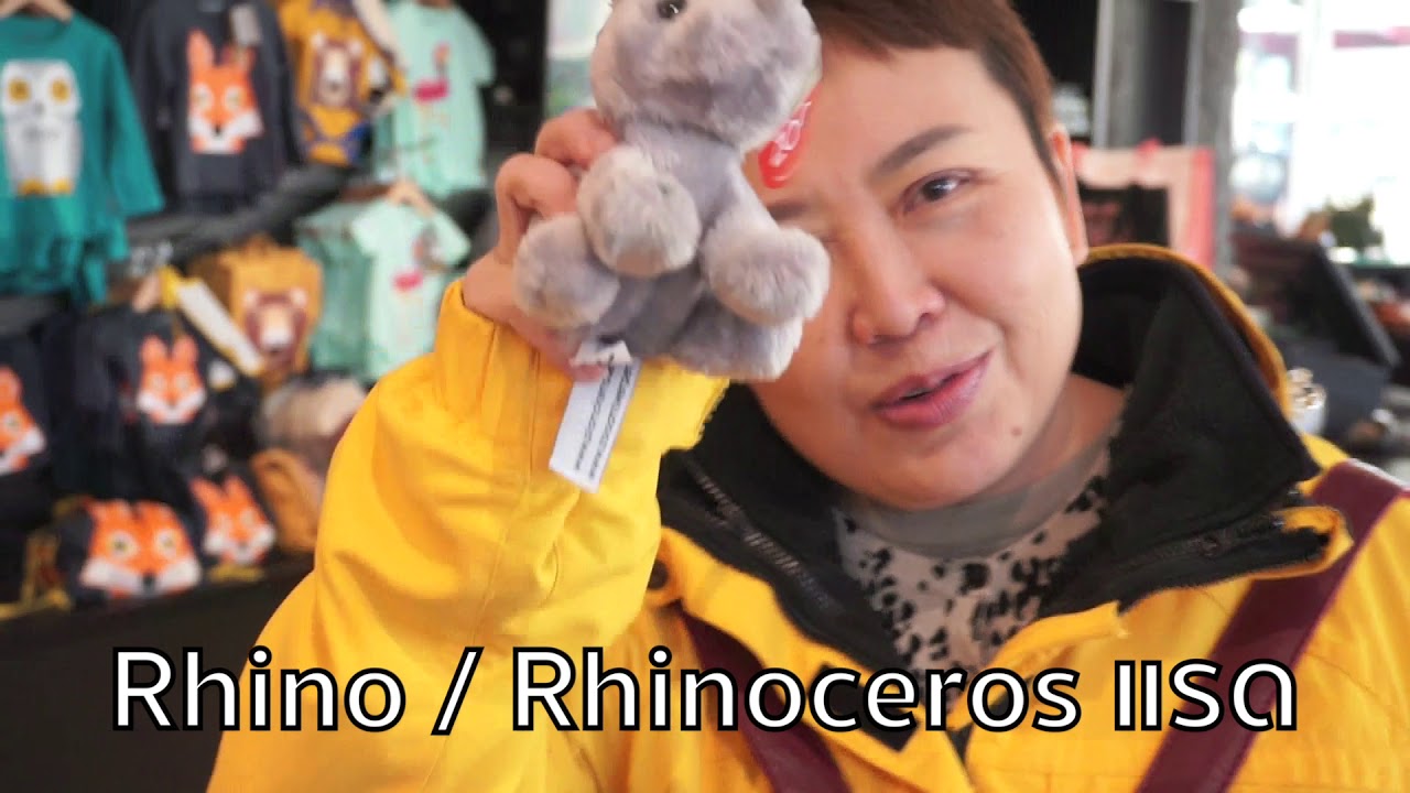 [วันหนึ่งแม่เดินเข้าสวนสัตว์ คำศัพท์จึงตามมา!