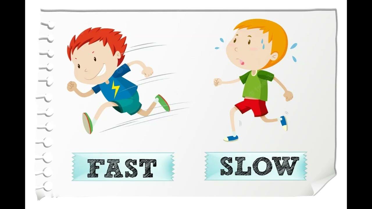 Fast and Slow карточки
