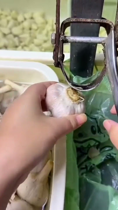 peeling onions easily to make one of the cooking spices #automobile #djterbaru