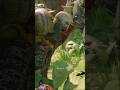 Kratos x Beat | God of War Rage #godofwarragnarok #gaming #videogame #pcgaming #consolegaming