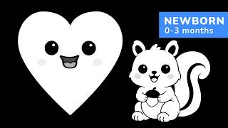 High Contrast Visuals for Newborns | Simple Animal & Shape Tracking