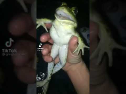 وش تبي مني وخر عني ياخي هذا إلاحسيته من اللغه