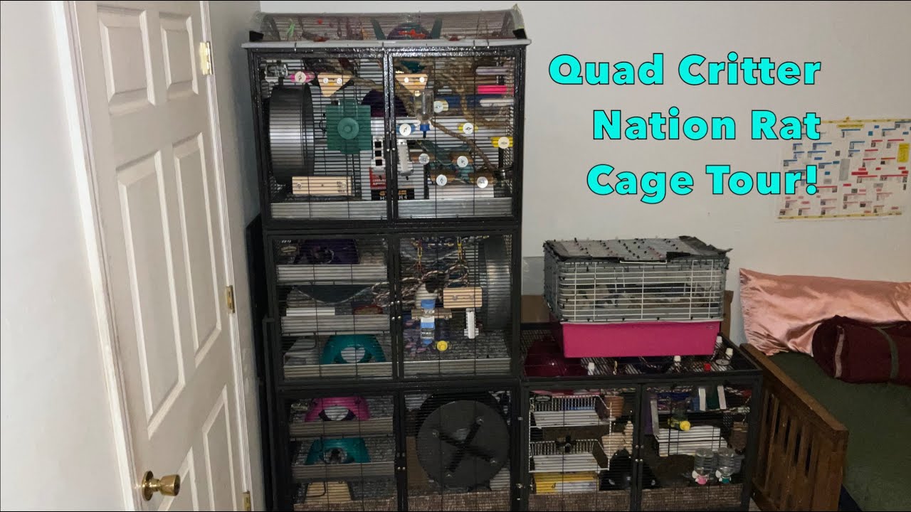 Quad Critter Nation Rat Cage Tour - w/3 Groups!