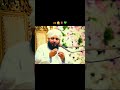 islamic quotes, deen, iman booster, islamic motivation, muslim reminder, islamic status, quran remin
