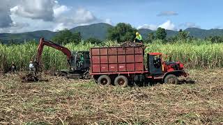 JingGong JG90Z Sugarcane loader working in the Philippine farm