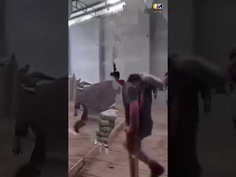 لما العزيمه والكرامه تتجسد في انسان ابوكبير ميديا دويتو