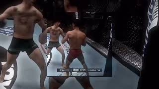 Icedmane Mtg Noradrenaline slowedmma Core