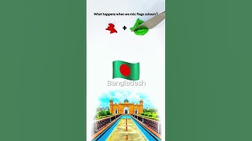 What color do mixed flags make? #colormixing #paintmixing #asmrart #flag #satisfying