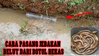 Pasang perangkap belut dari botol bekas