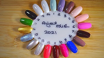 Project Polish Intro