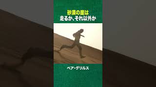 #shorts 砂漠は、走るか、それ以外か(ディスカバリーチャンネル)