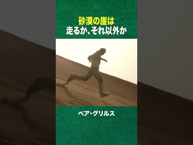#shorts 砂漠は、走るか、それ以外か(ディスカバリーチャンネル)
