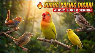 Download lagu 🔥 LIVE MASTERAN BURUNG 24 JAM | PRENJAK   CIGUN   LOVEBIRD   KENARI   GEREJA TARUNG | Audio Jernih