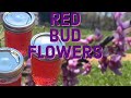 How To Make Redbud Jelly: and Preserve it