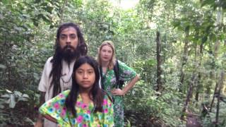 Jungle : Heart of the Monkey : part II