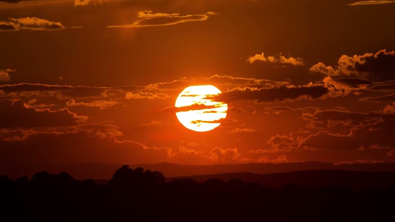 You (Synthwave cover)