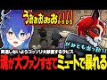 【ストグラ】がみともさんが警察に!?あらゆる場面で魂が貫通しまくるラピスりお【ストグラ切り抜き/ラピスりお/碧輝りお】