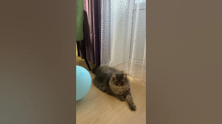 Watch the video about Marsik