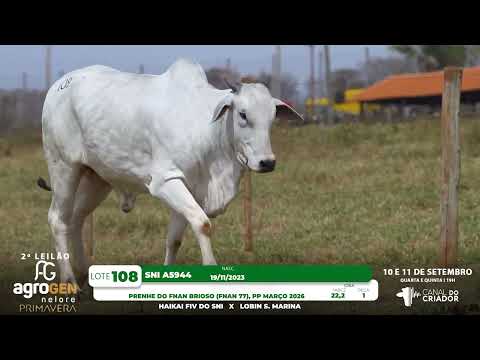 LOTE 108