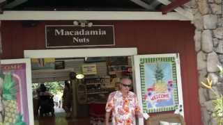 Tropical Farms: Macademic Nut Farm -- Kaʻaʻawa, Hawaii