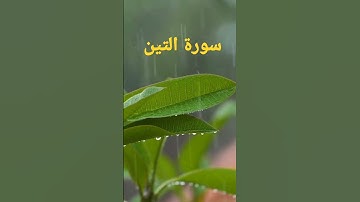 سورة التين بصوت جميل يريح النفس 🎧🤍🫒😌