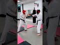 Karate Sparring #hardstyle #music #karate #ytshorts