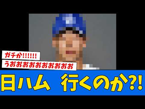 [Released] Nippon-Ham, a player you once had on your list is hitting the market lol