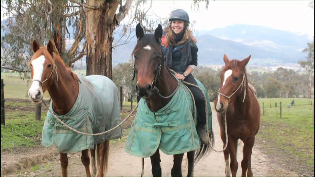 Alpine Shire YouTube