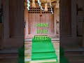 Shrine in the forest #shorts #japan