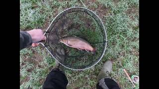 #78 :Another Great Days Fishing at Rockbourne Trout Fishery