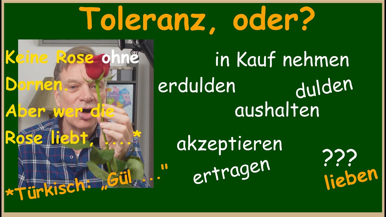 Tolerieren,  tolerieren, ...? Wie sagen wir das besser? | DEUTSCH wirklich LERNEN