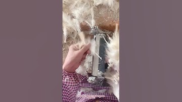 Trim the bones from the goose feathers