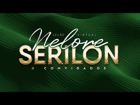 LOTE 90   ABISSINIA SM GENETRON    SMAK 4213